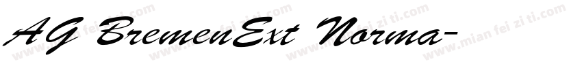 AG BremenExt Norma字体转换